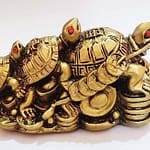 Know About Turtles Are Good Luck Symbols in Feng Shui!