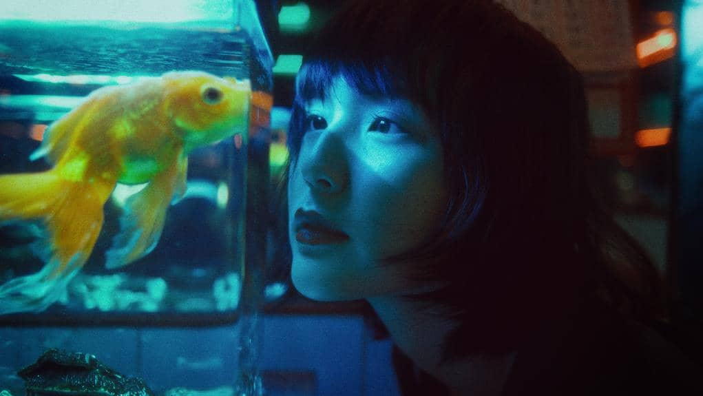 compatibility of cory catfish and goldfish
